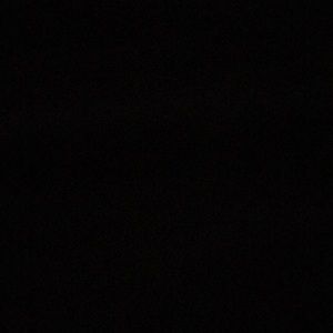 Meet your Posher, Anne